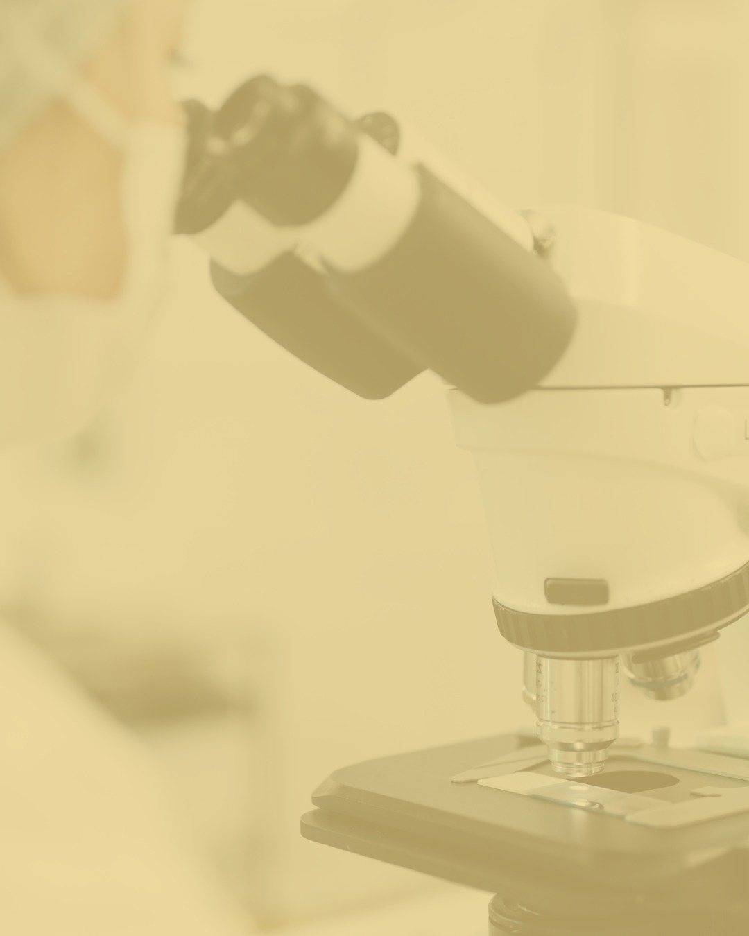 Pasantía: Estudiantes de Bioquímica