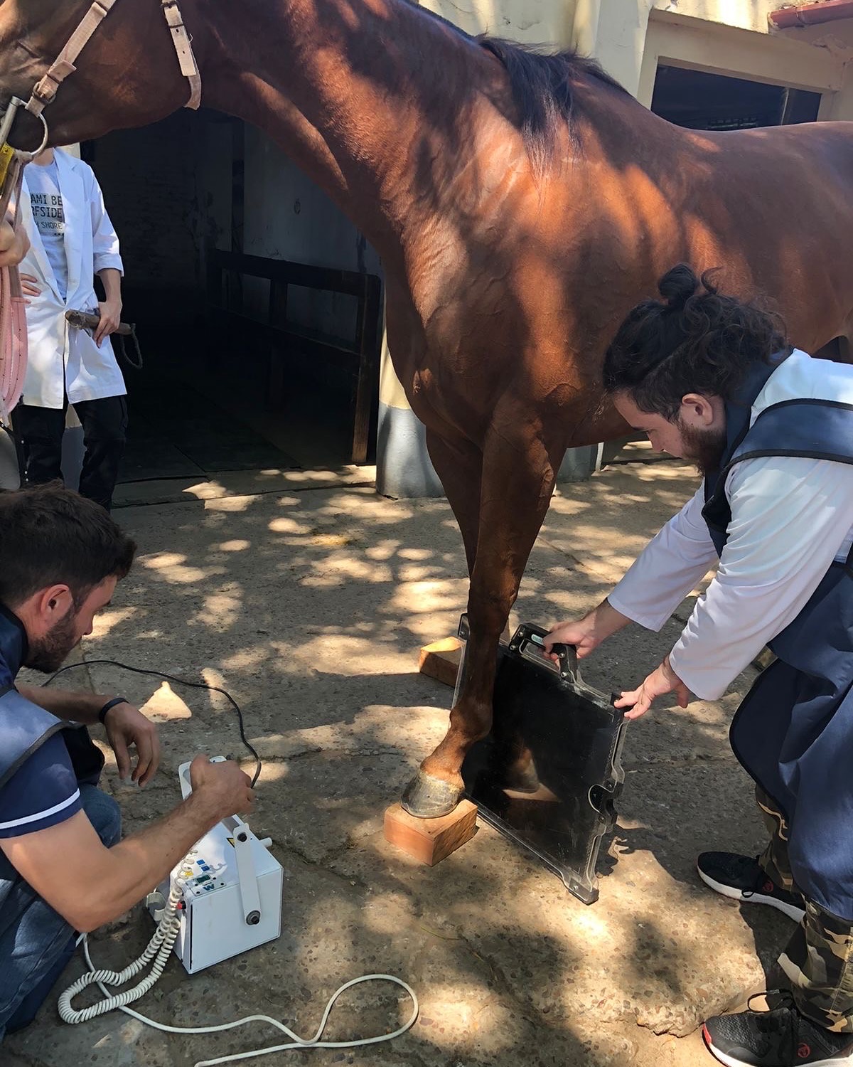 Estudiantes de la Facultad realizan actividades en el Hipódromo de Gualeguaychú