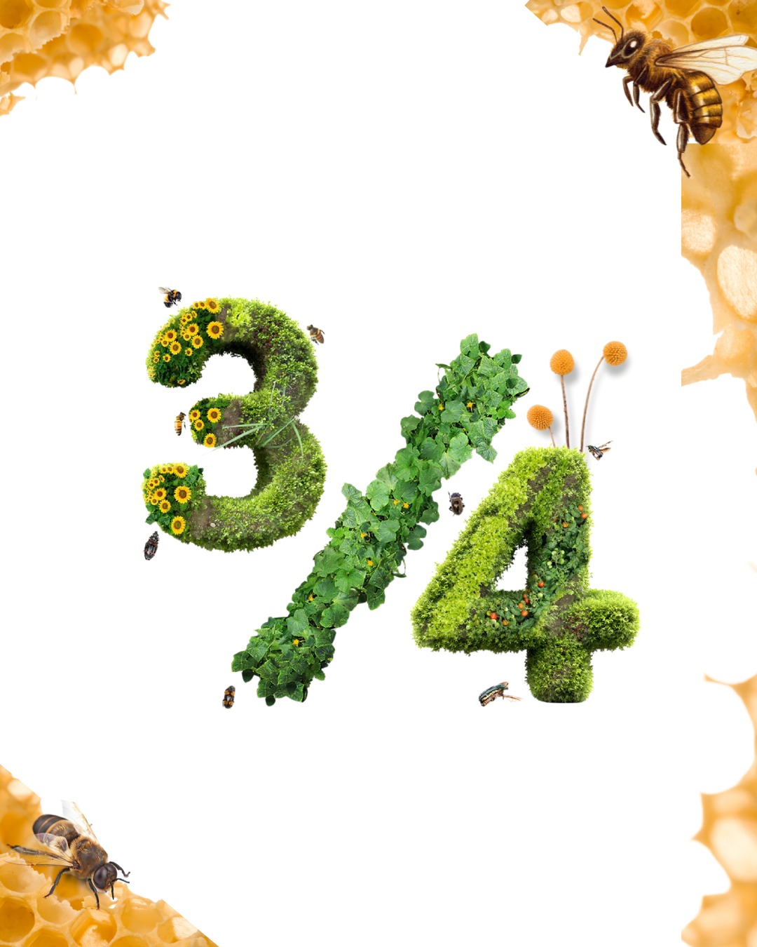 Día Mundial de las Abejas