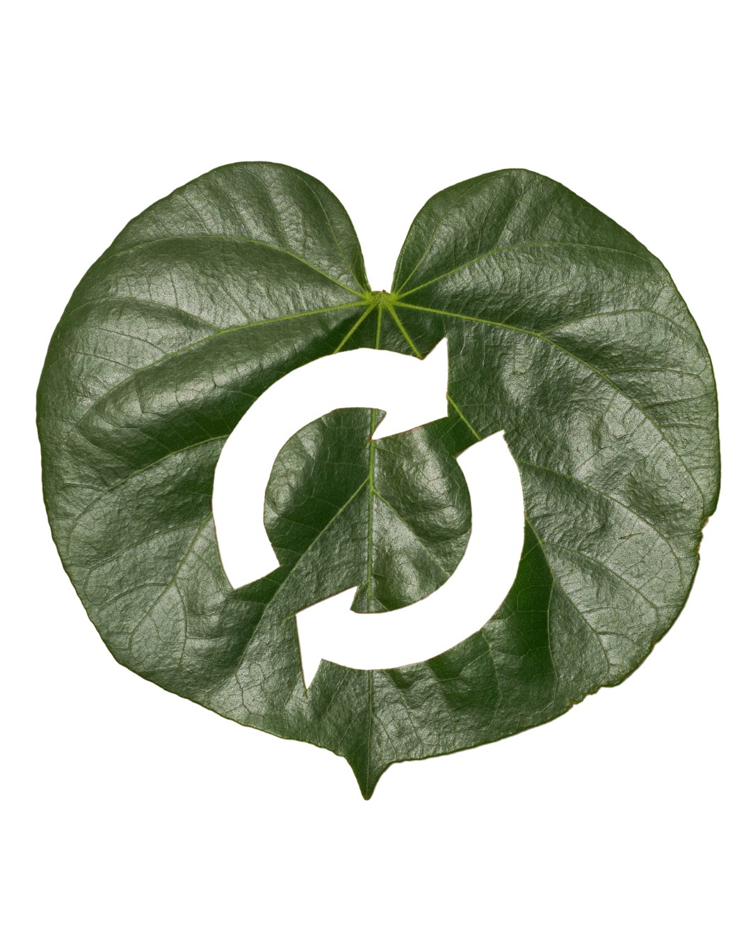 III JIHECPA 2025: Jornadas Iberoamericanas sobre Economía Circular en Procesos Agroindustriales