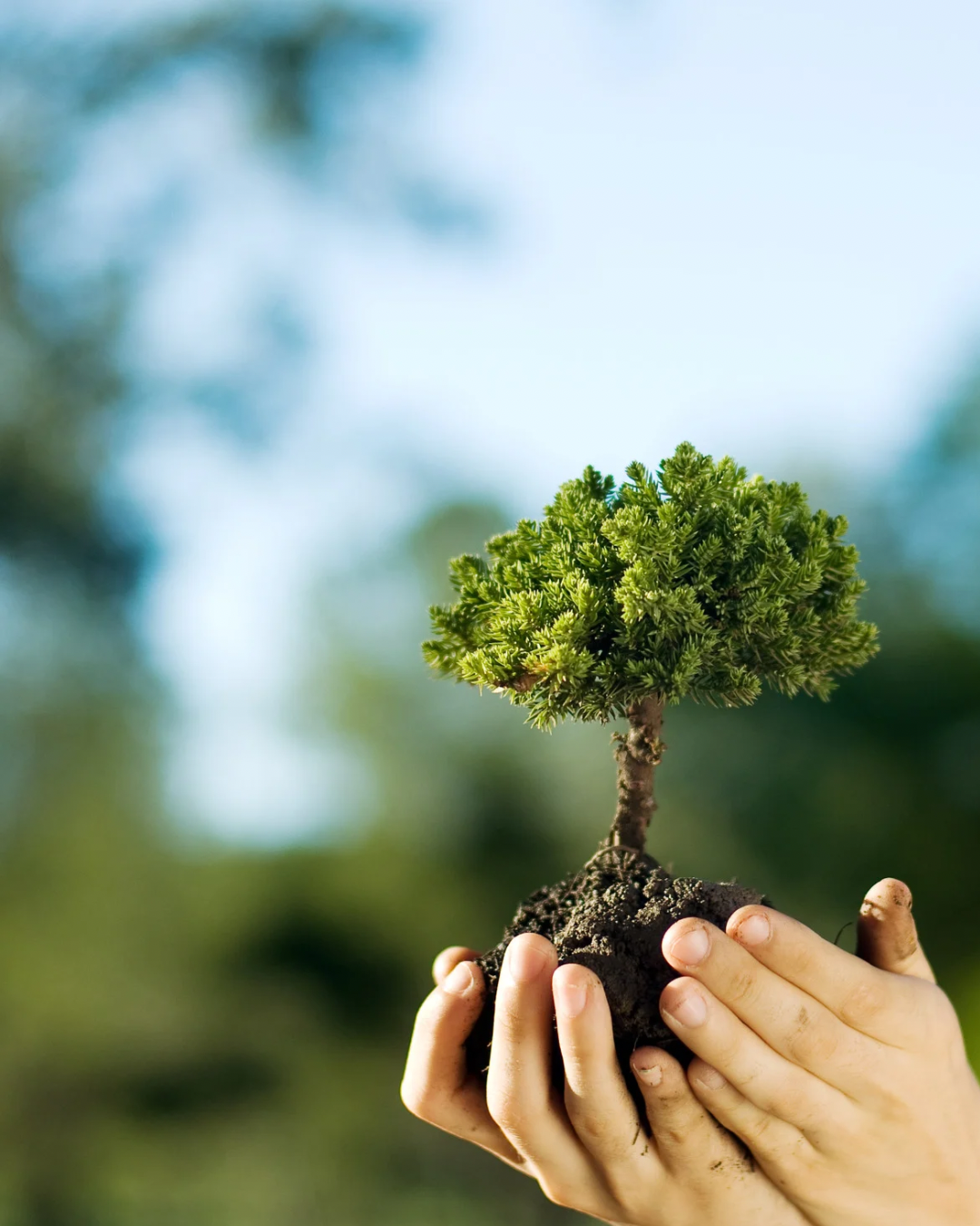 Día Mundial del Ambiente