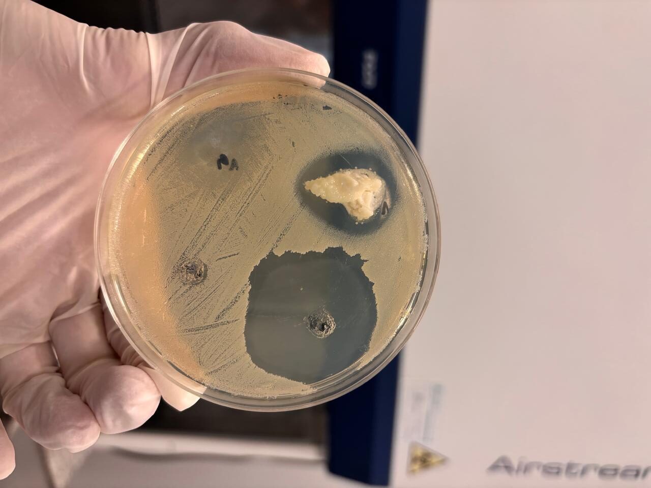 I Jornada de Actualización en Microbiología de Alimentos y VI Simposio Argentino de Inocuidad Alimentaria