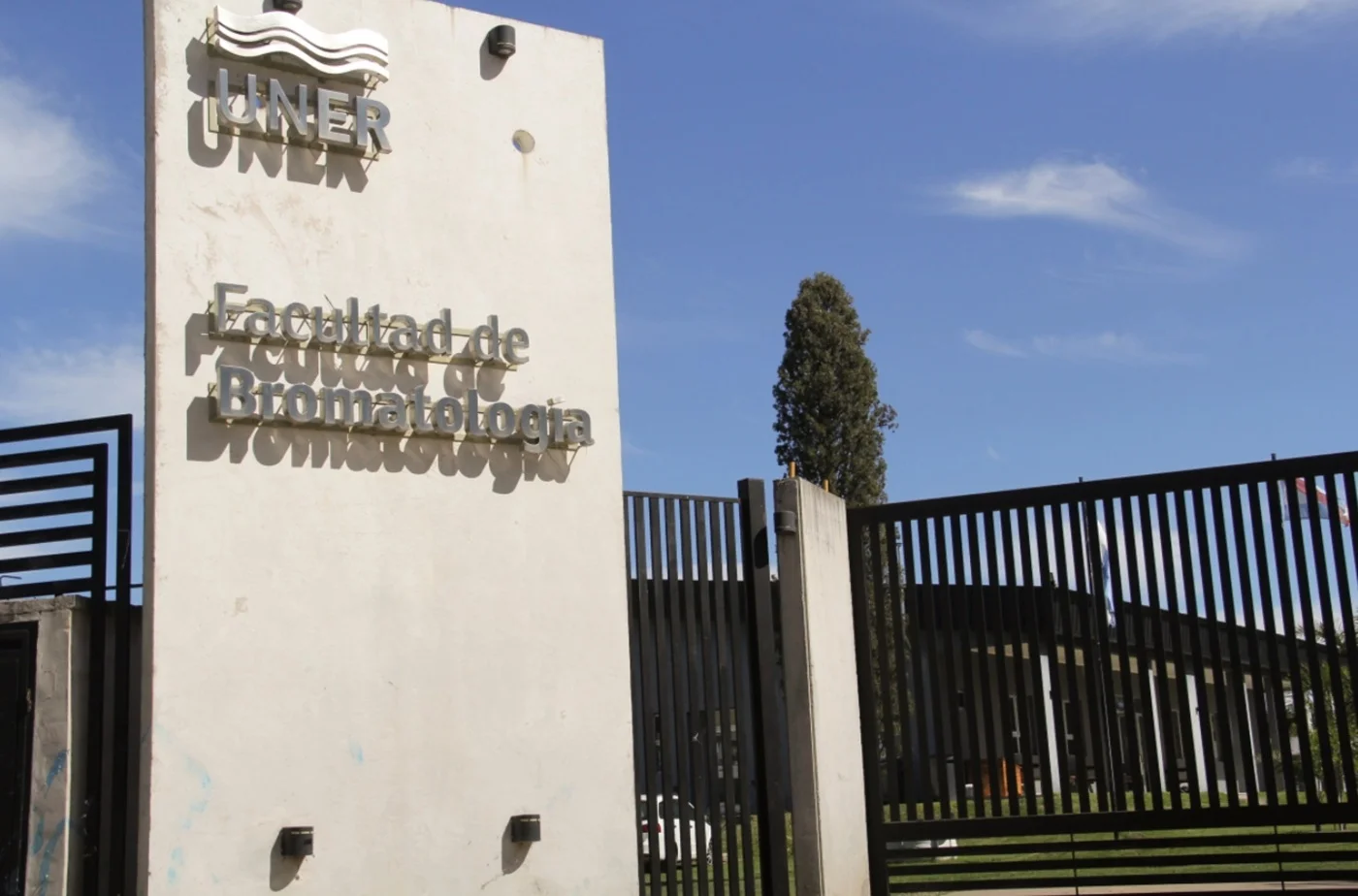 Elecciones Consejeros Directivos y Superiores | Elección a Decano/a y Vicedecano/a