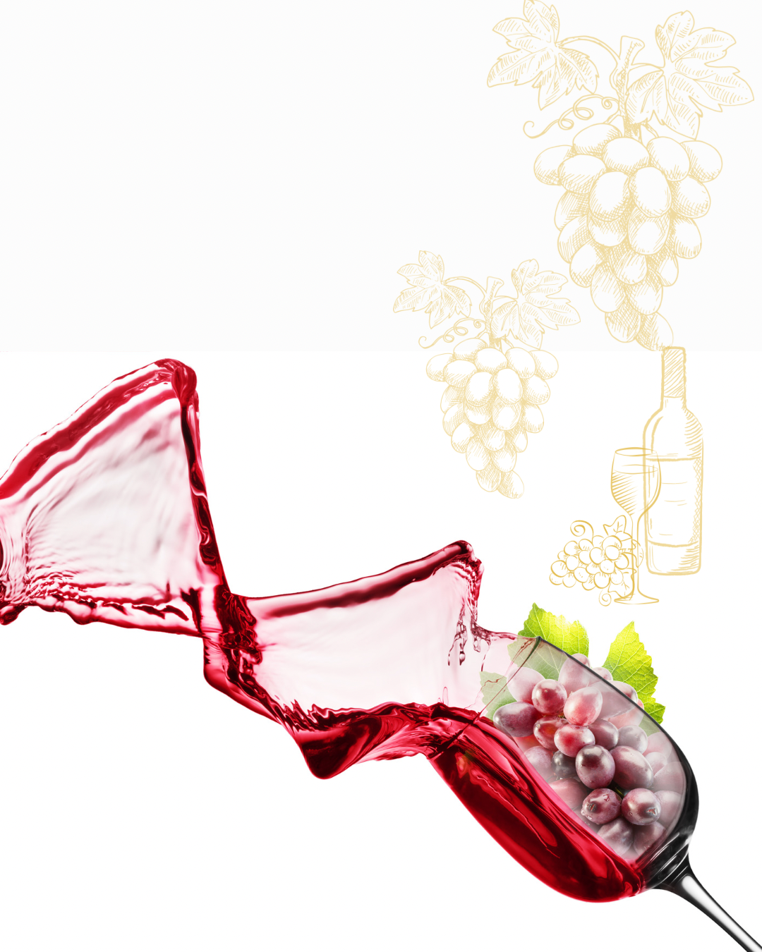 “Diplomatura en Vitivinicultura: Diplomado Especializado en Vitivinicultura 2026″