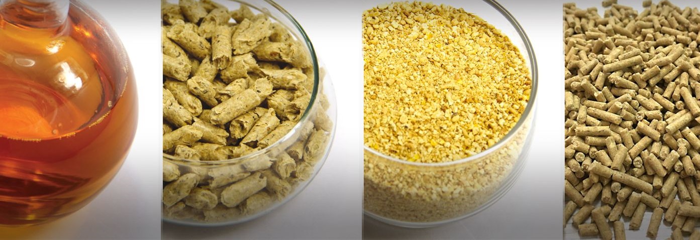 Estudiantes: Pasantía en Entre Ríos Crushing S.A.