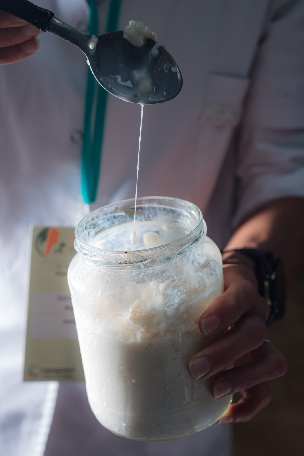 Se realizará un Taller Abierto sobre Fermentación de Alimentos “La ciencia y el arte de fermentar”