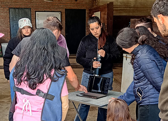 Estudiantes de Medicina Veterinaria de la FB participaron de una actividad práctica en el Club Capilla del Señor Polo Club