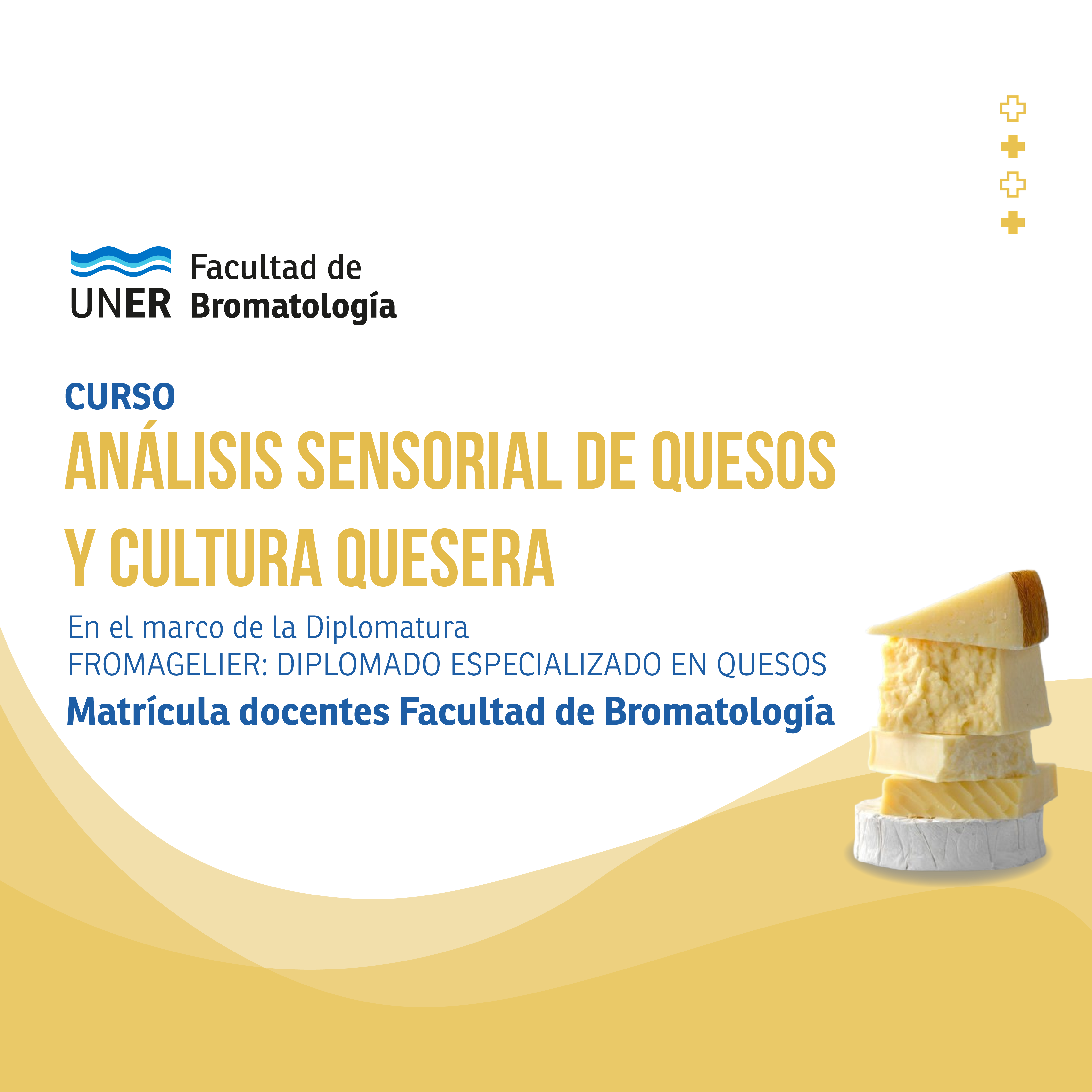 Curso: Análisis Sensorial de Quesos y Cultura Quesera